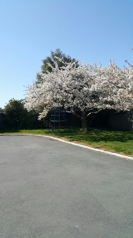 Lilybrook Motel Rangiora Eksteriør billede